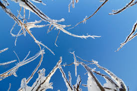 kingston-weather-127.jpeg
