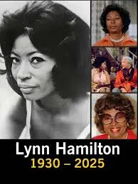 The Life and Career of Lynn Hamilton: A Canadian Icon