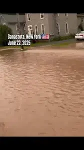 new-york-weather-226.jpeg