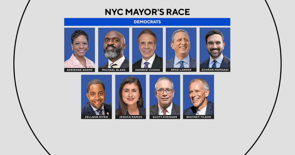 nyc-mayoral-election-8.png