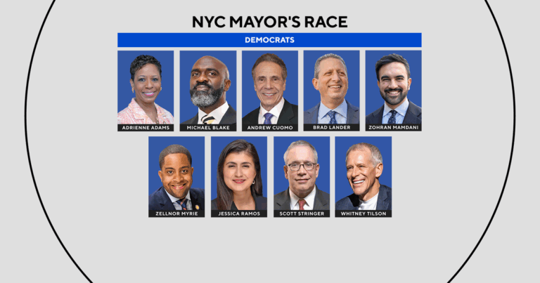 nyc-mayoral-election-8.png