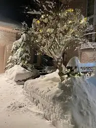 Current Weather Trends in Oakville: What to Expect