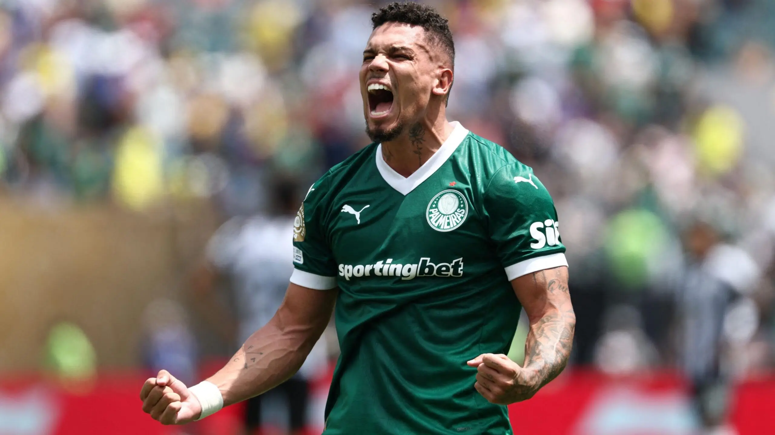 Palmeiras vs Botafogo: A Historic Football Rivalry