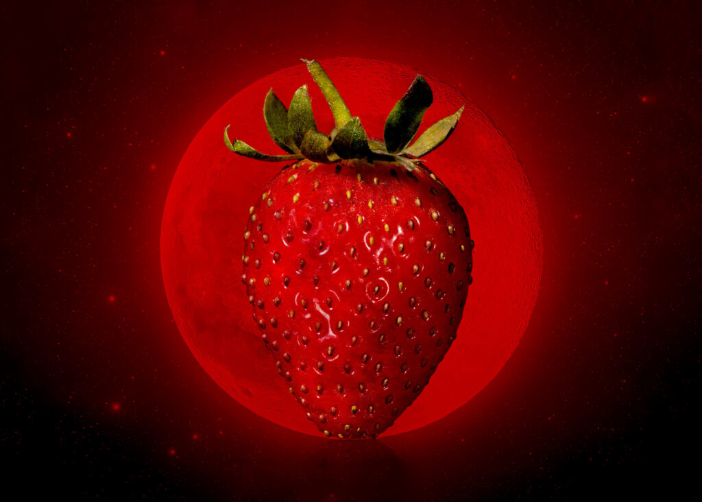 pleine-lune-des-fraises-37.jpeg