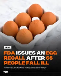 Salmonella Outbreak Leads to FDA Egg Recall image 1