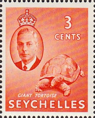 seychelles-159.jpeg