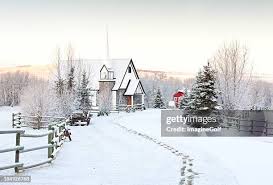 snow-in-alberta-254.jpeg