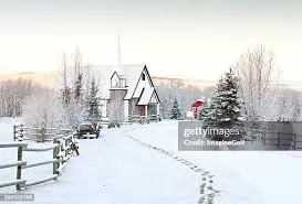 snow-in-alberta-254.jpeg