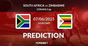 south-africa-vs-zimbabwe-238.jpeg