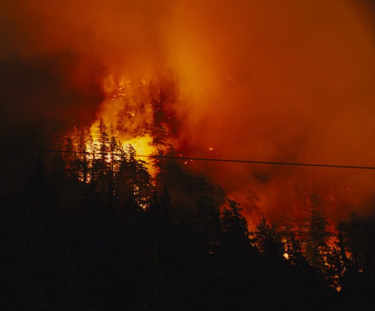 squamish-fire-8.jpeg