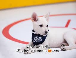 stanley-pup-103.jpeg