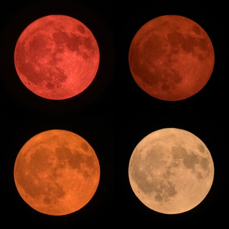 strawberry-moon-188.jpeg