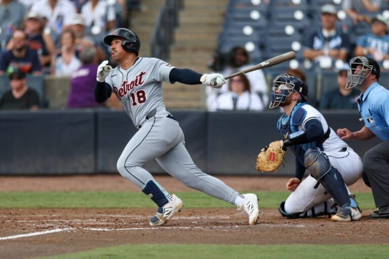 tigers-vs-rays-169.jpeg