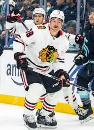 The Impact of TJ Brodie in the NHL Today image 1