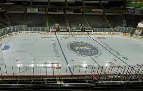 toledo-walleye-216.jpeg