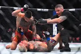 UFC 317 Results: Highlights and Implications for Fighters
