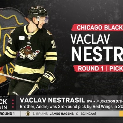 vaclav-nestrasil-123.jpeg