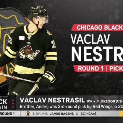 The Rising Career of Vaclav Nestrasil in Hockey image 1