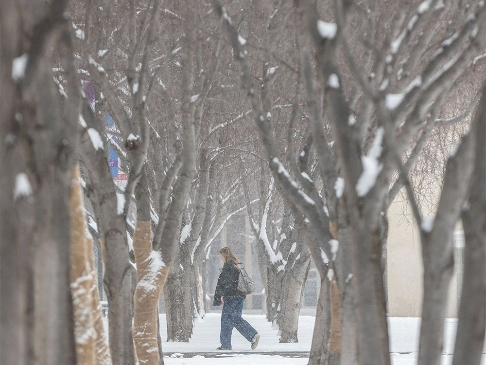 weather-calgary-133.jpeg