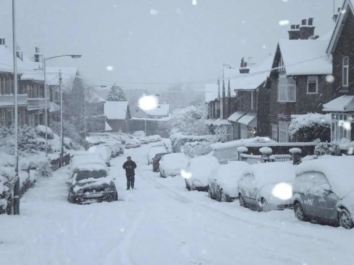 Météo à Surrey : Conditions et Prévisions Actuelles