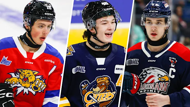 when-is-the-nhl-draft-179.webp