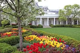 The White House Rose Garden: History and Significance