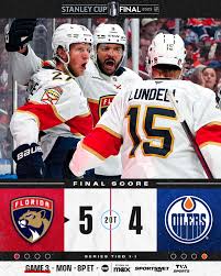 who-won-last-nights-hockey-game-236.jpeg