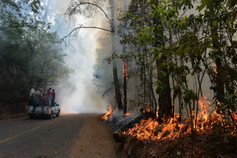 wild-fires-159.webp