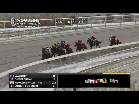 Exploring Woodbine Racetrack: Toronto’s Premier Horse Racing Venue
