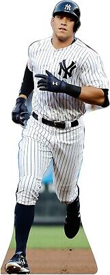 aaron-judge-79.jpeg