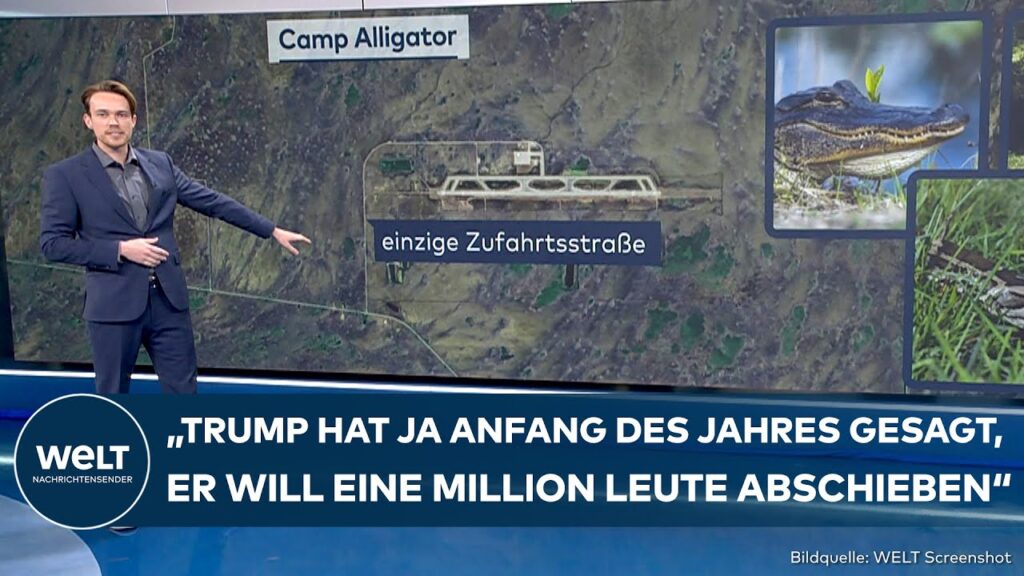 alcatraz-des-alligators-73.jpeg