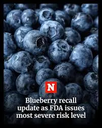 Alma Pak’s Blueberry Recall: What You Need to Know About Listeria Risks