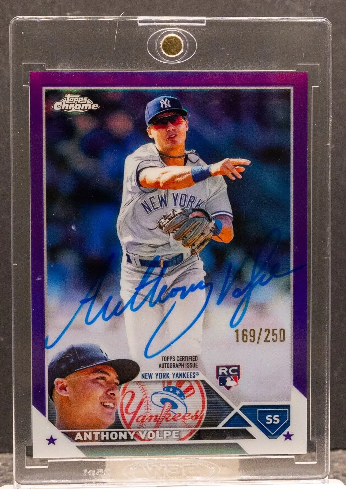 The Rise of Anthony Volpe: A Promising MLB Talent