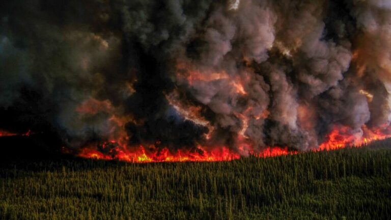 bc-wildfire-166.jpeg