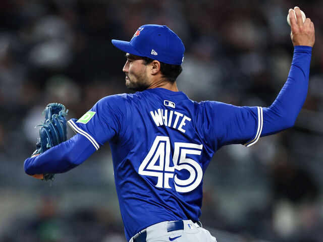 blue-jays-45.jpeg