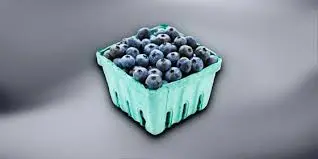 blueberry-recall-listeria-6.jpeg