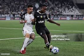 botafogo-vs-corinthians-239.jpeg