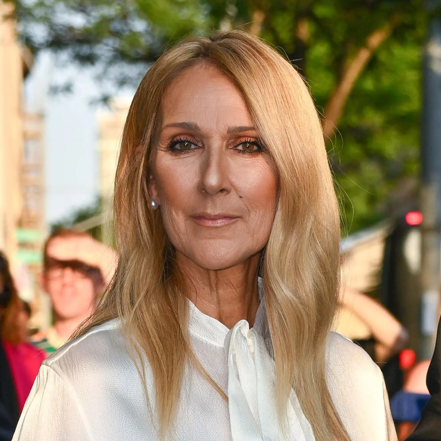 Latest News on Celine Dion: Health Updates and Future Plans