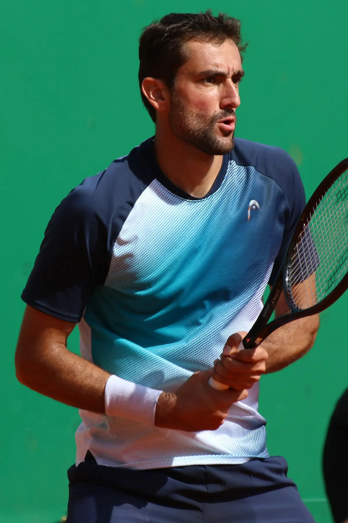 Marin Cilic: A Powerful Force in the World of Tennis
