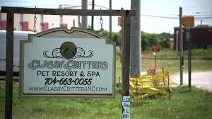 classy-critters-pet-resort-and-spa-107.jpeg