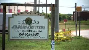 classy-critters-pet-resort-and-spa-107.jpeg
