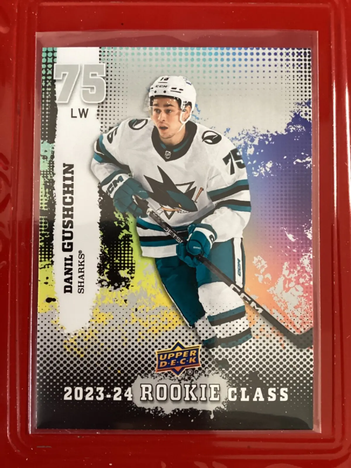 Danil Gushchin: A Rising Star in Ice Hockey