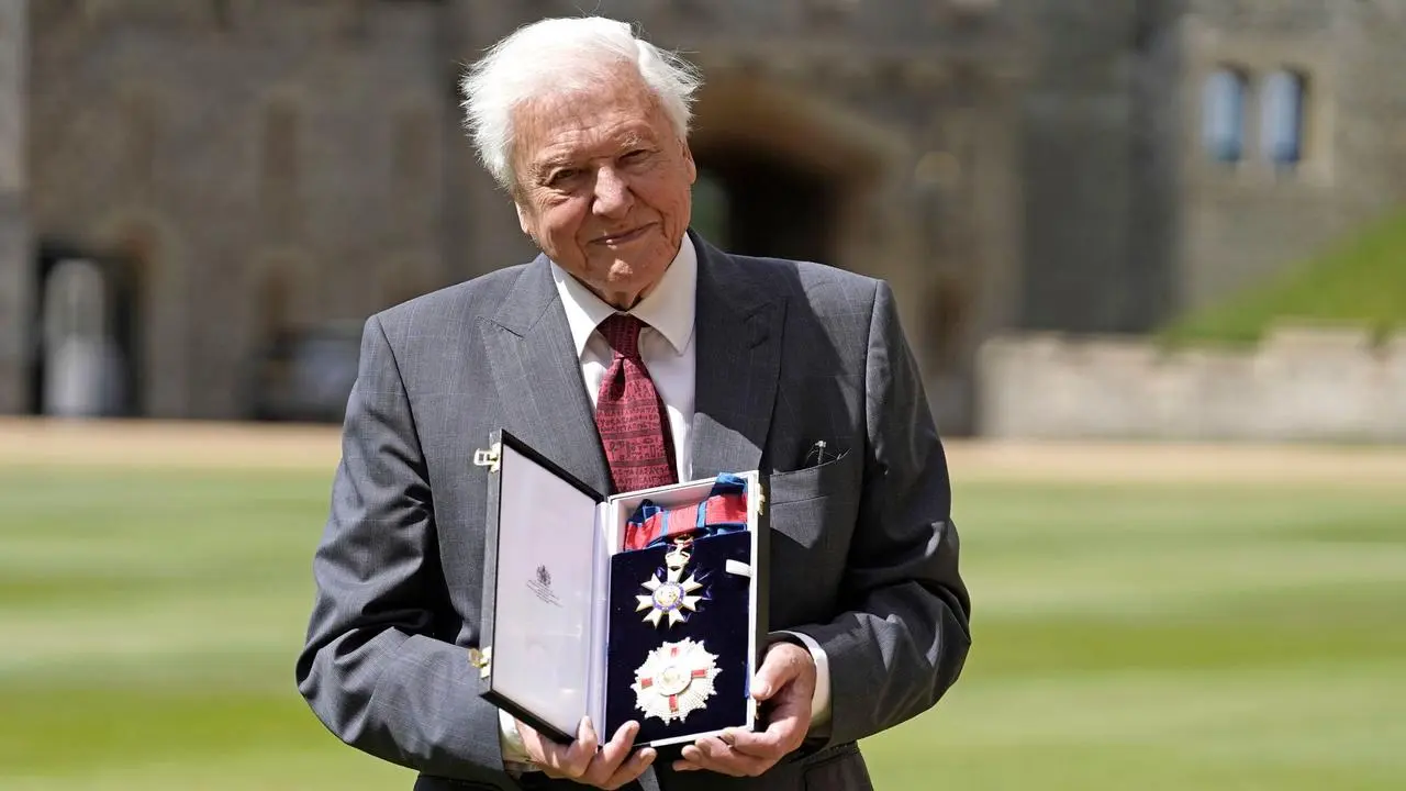 The Impact of David Attenborough on Nature Conservation image 1