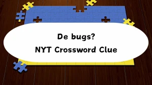 de-bugs-nyt-18.webp