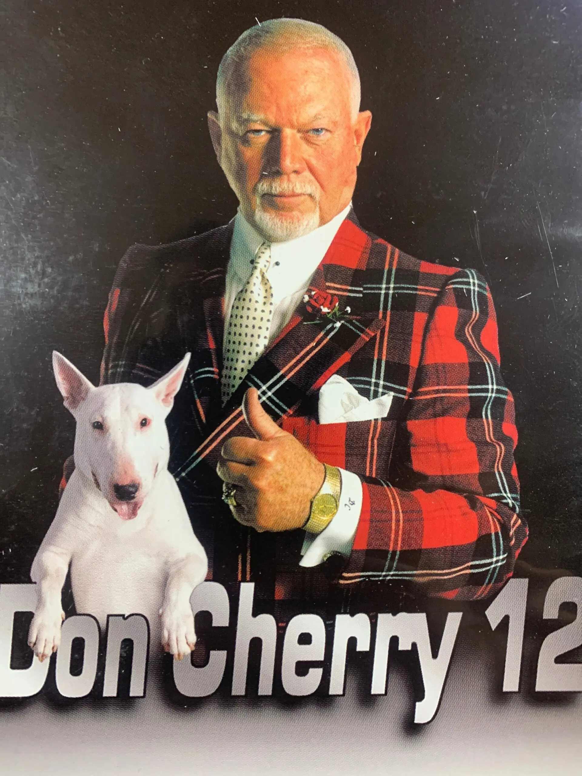The Legacy of Don Cherry in Canadian Hockey Culture image 1