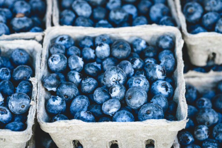 fda-blueberry-recall-88.jpeg
