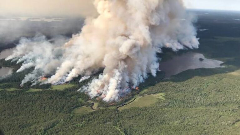 forest-fires-ontario-50.jpeg