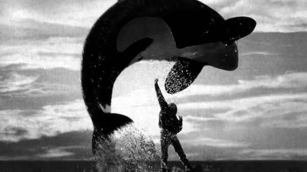 free-willy-110.jpeg