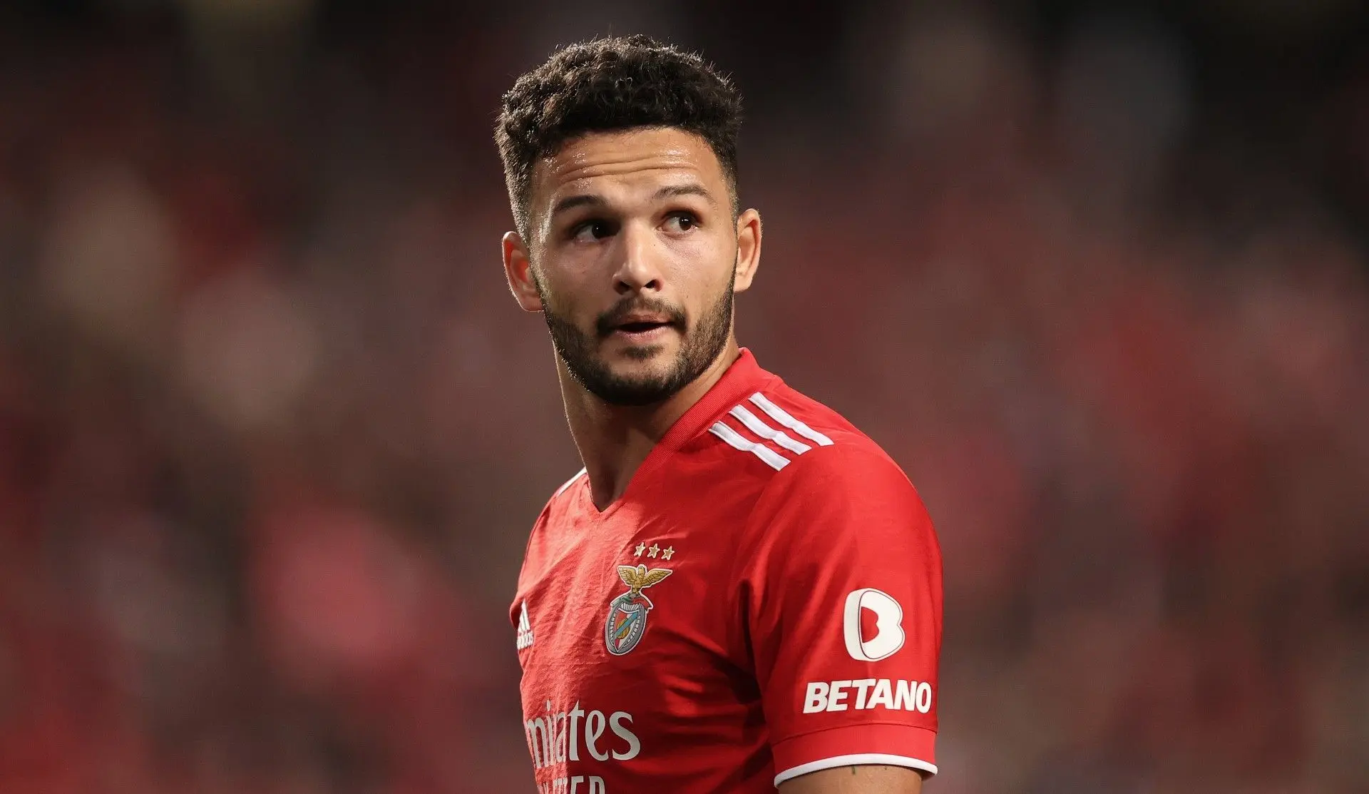 The Rise of Gonçalo Ramos in Football image 1