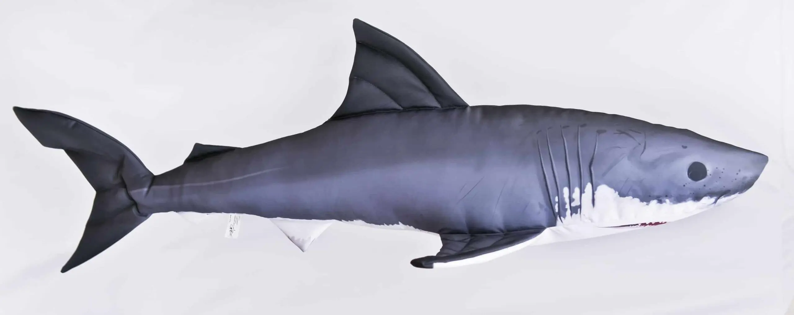 Understanding Great White Sharks: Conservation and Significance